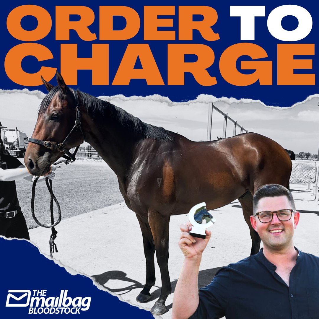 FINAL 15% LEFT! 🚨 #OrderToCharge is in pre-training and only a couple of weeks away from heading to @beermitchell and onto the races 😎 🔸 $5 SP & 2.8L off Another Wil 🔸 $7 SP vs Otago 🔸 $4.60 SP vs Ginger 'N' Pink Be quick to get your share 👇 📩 jono@themailbag.com.au