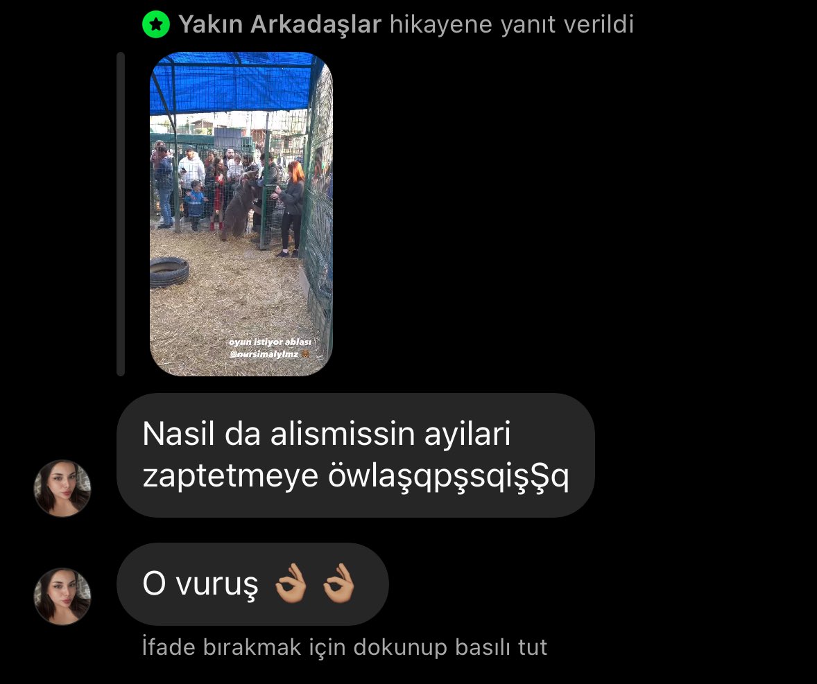 ayı sevdiğimi gören arkadaşlarımın max tepki 🐻