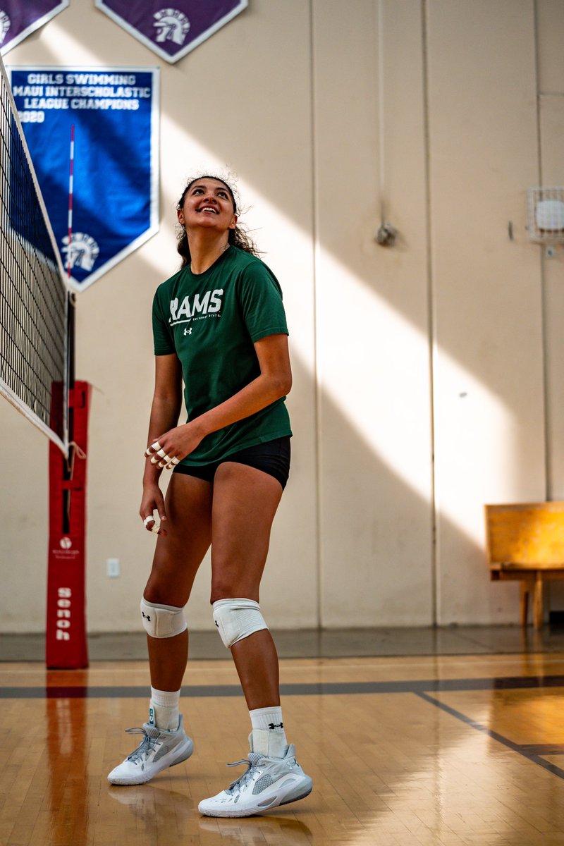 Colorado State Volleyball tweet media