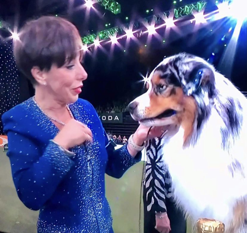 Andy just said… ‘I can’t believe Liza Minnelli has just won Crufts’ 🤭❤️🐾🍾🥂