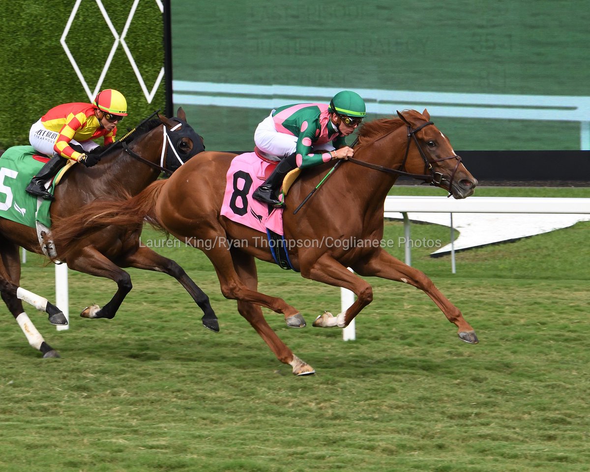 Sweet Rebecca overcomes a slow start to make her debut a winning one in race 10. @Tyler_Gaff in the irons, @brenpwalsh trains for owners Michael Ryan and Mt. Brilliant Farm. #GulfstreamPark #ChampionshipMeet Sweet Rebecca supera una salida lenta para hacer un debut exitoso en…