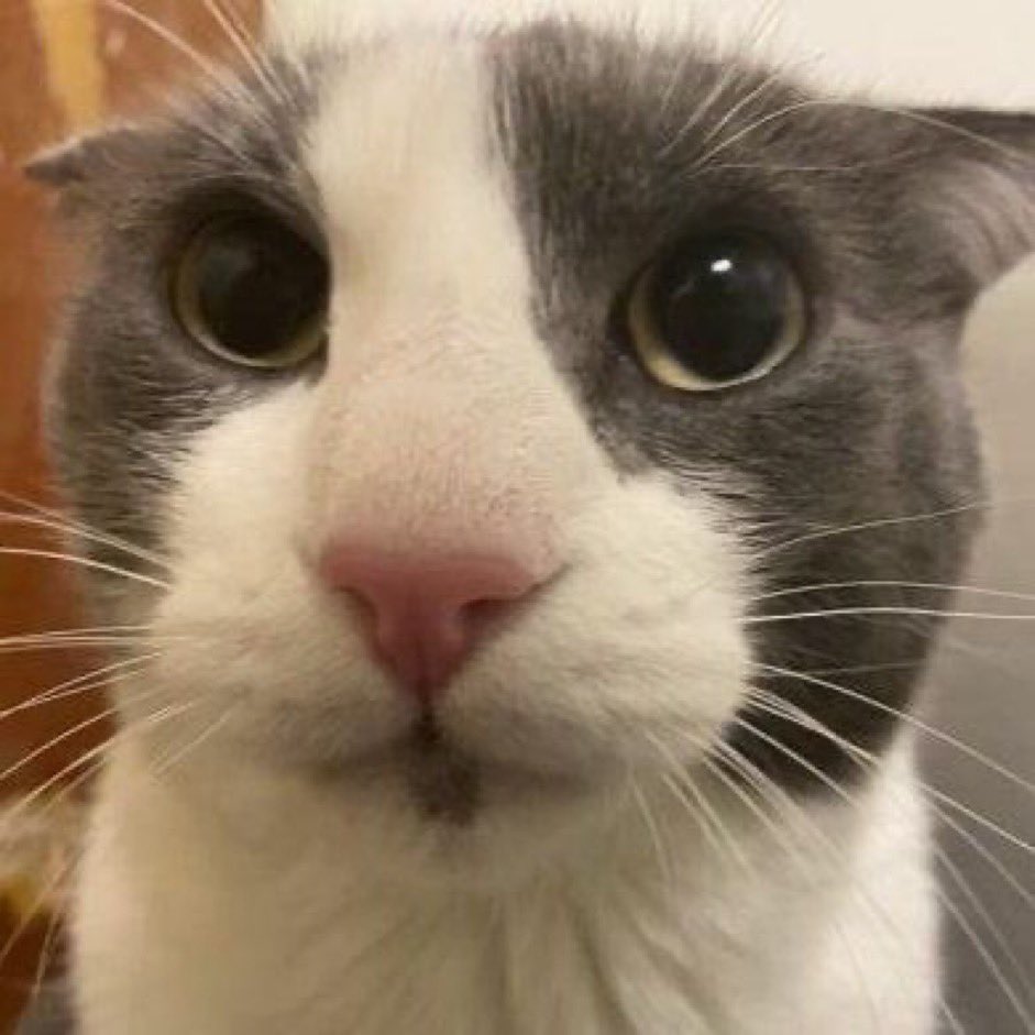 yaoitron's tweet image. fart oompa loompa willy wondker
LOL!!!!