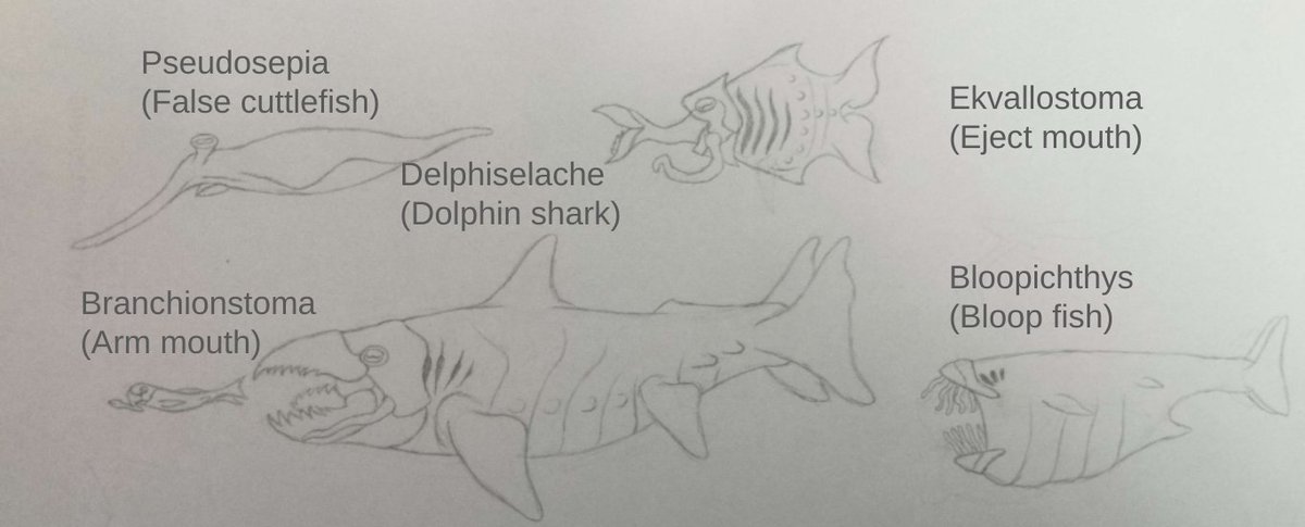 Here's some species from Danu's (Isea-42 d) seas and oceans analogues to fish and cephalopods, drawings made by @SergestusZM. #Isea42eSpecEvoProject #Isea42 #speculativebiology