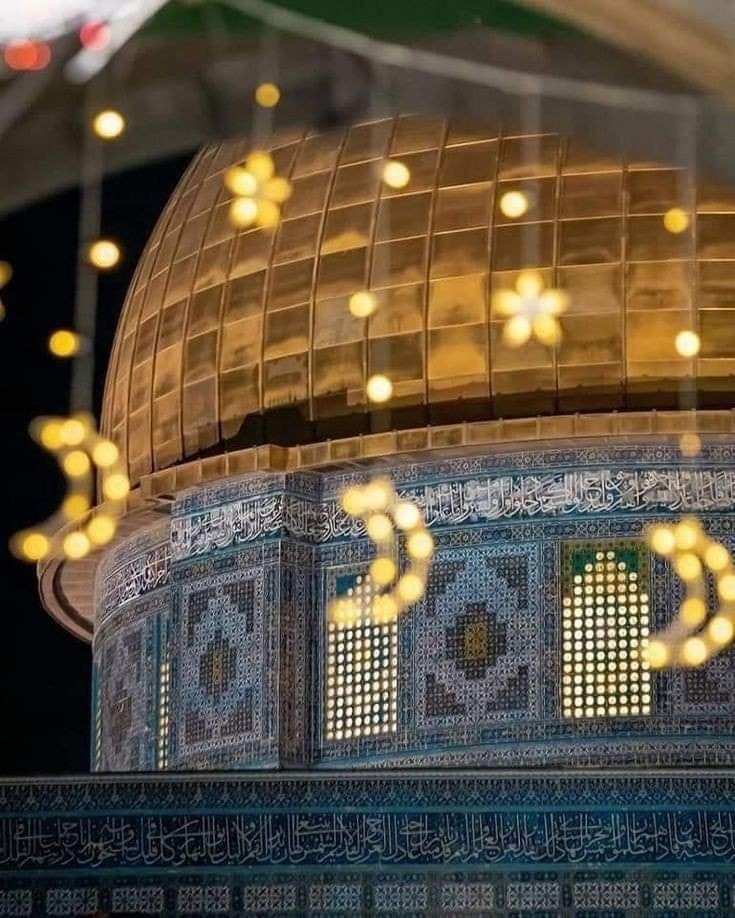 Arabbeau's tweet photo. Palestine https://t.co/22ksg41ZOl