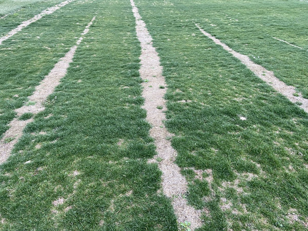 Mike Richardson tweet media