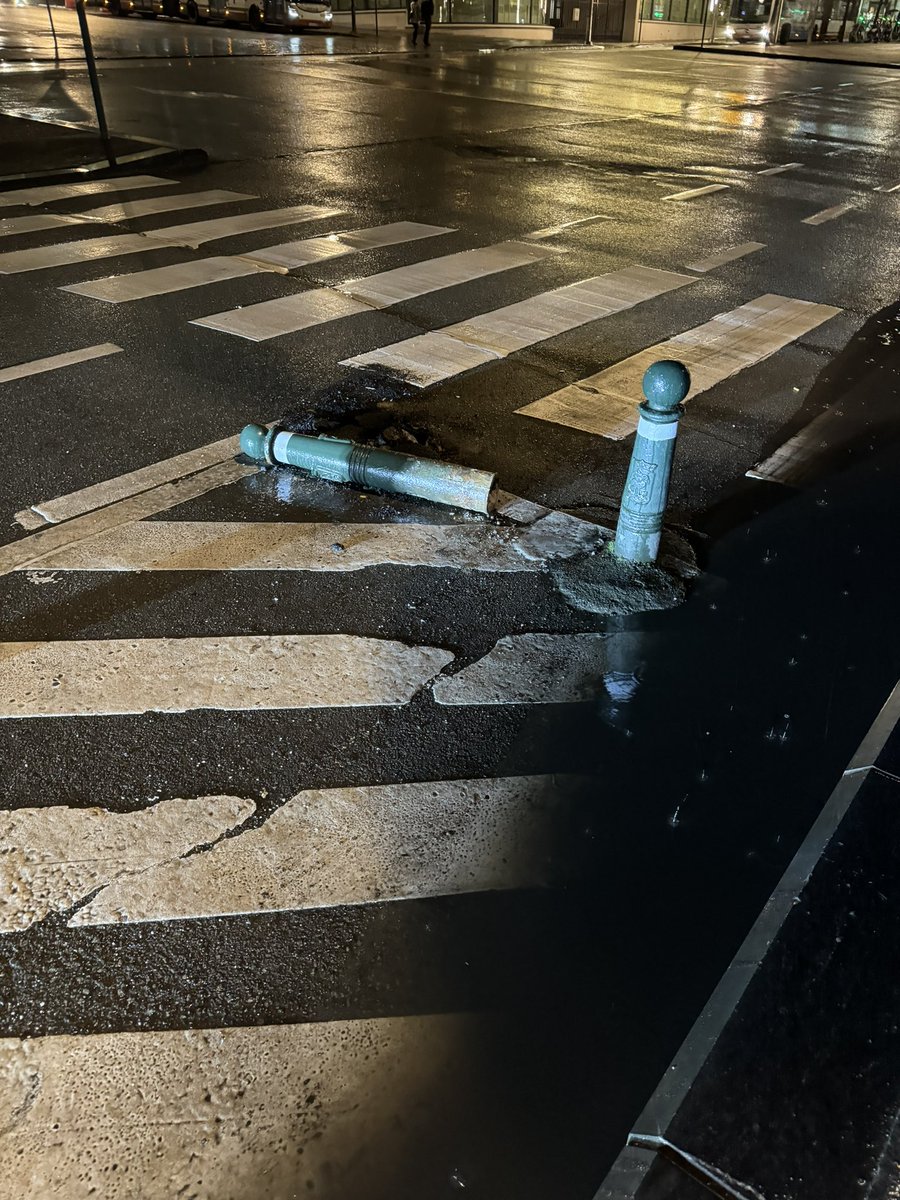 Suzy Esser tweet media