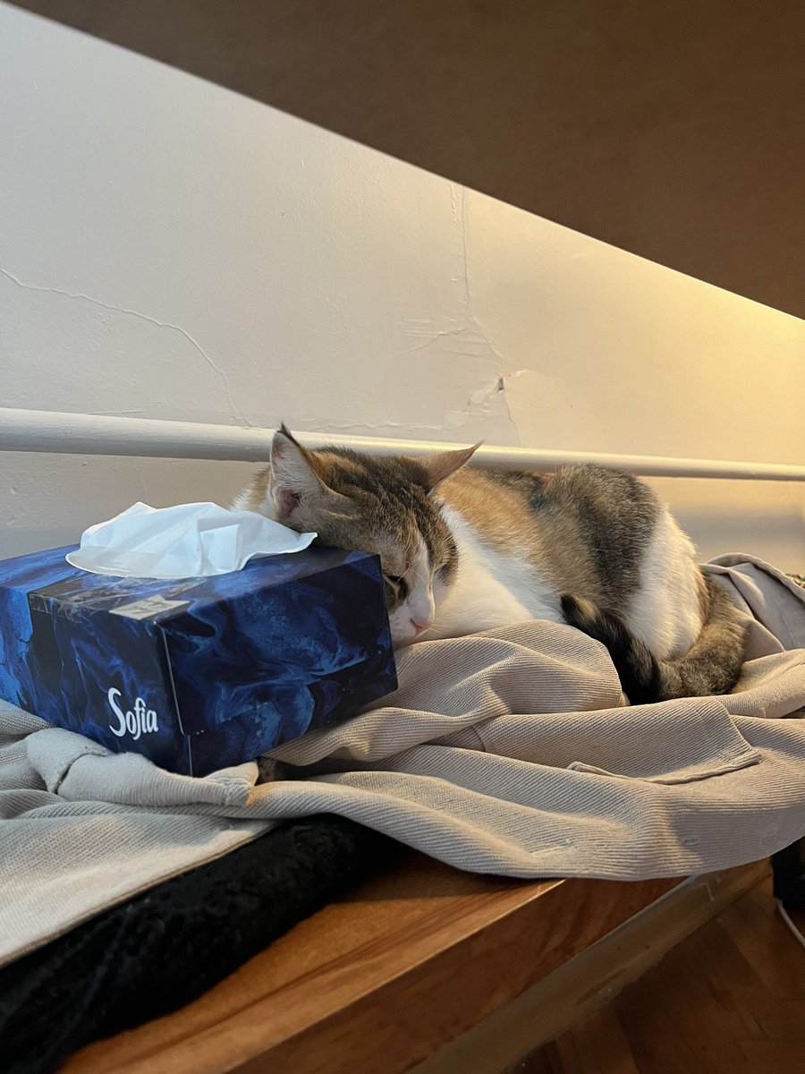 roza: 90                 -           karamel: 10
sınıf farkı bizim evde yaşanıyor <a href="/siyambaligi/">yankı</a> <a href="/tugceozdenoglu/">tugce ozdenoglu</a>