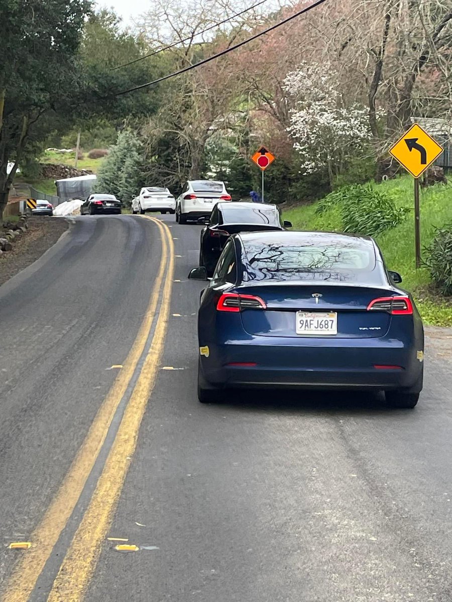 TeslaOwnersEBay's tweet image. Quick hits from today’s East Bay Hills Drive! #HellaTeslas