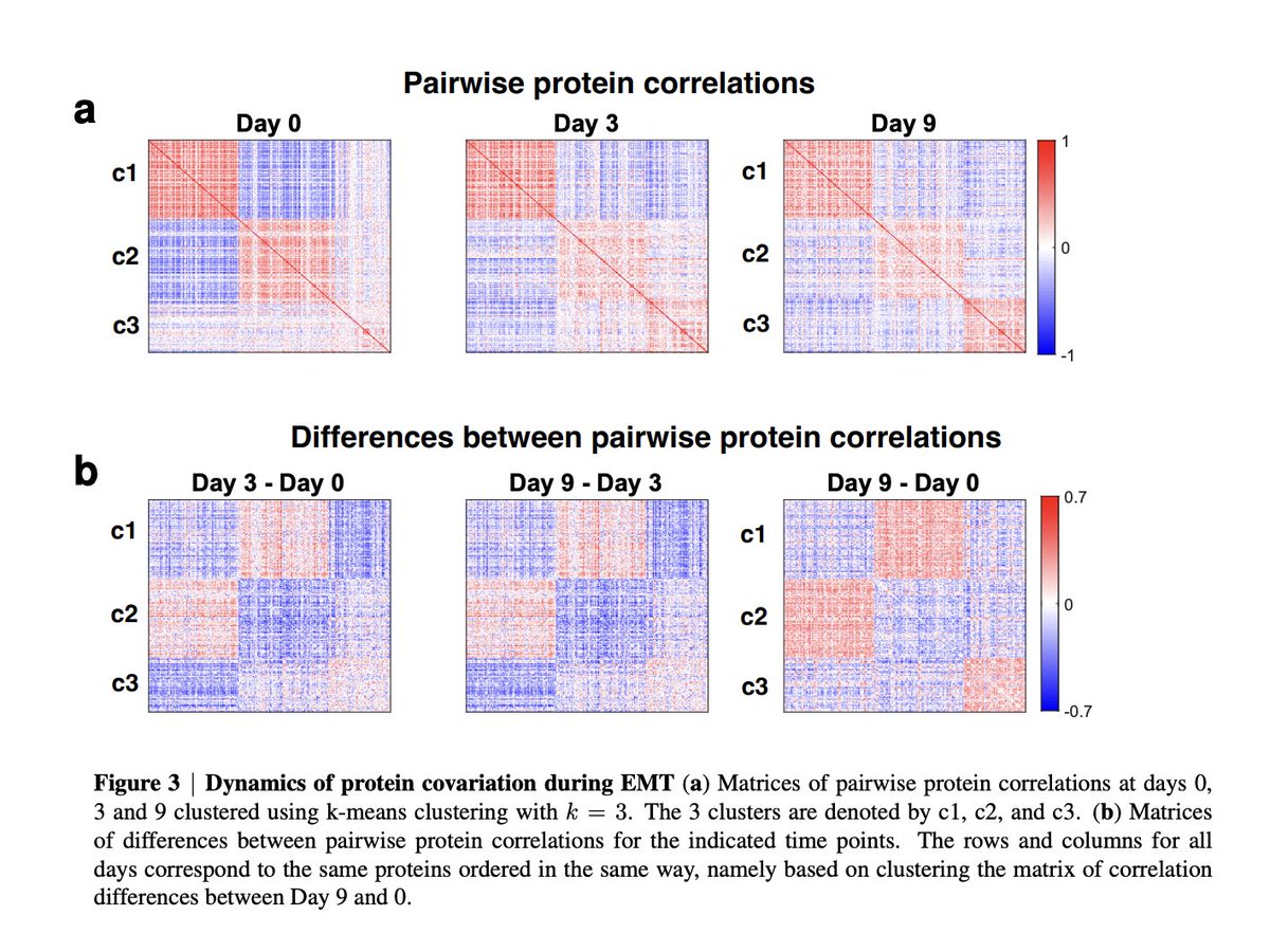 Even when protein levels do not change in time, their covariation within timepoints changes substantially. biorxiv.org/content/10.110…