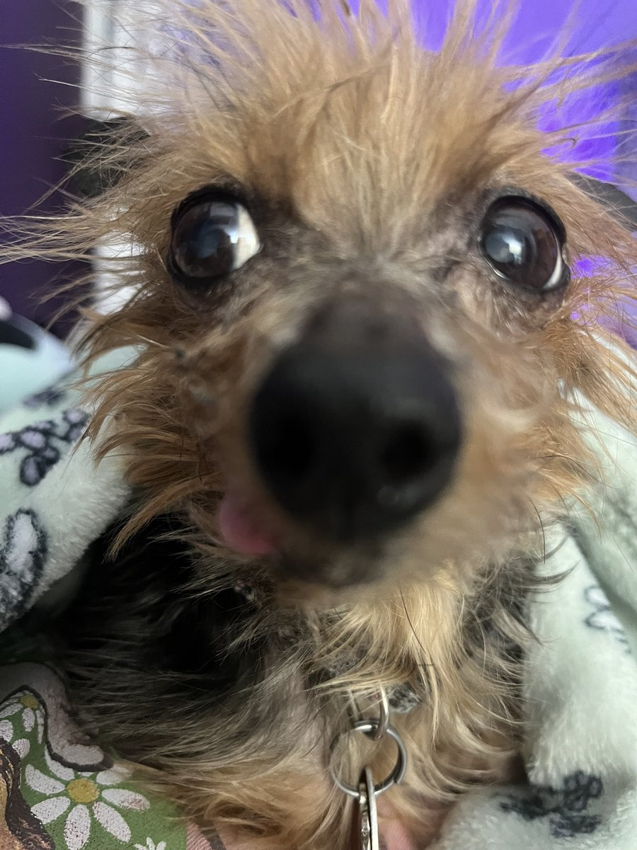 audrey 💞 tweet media