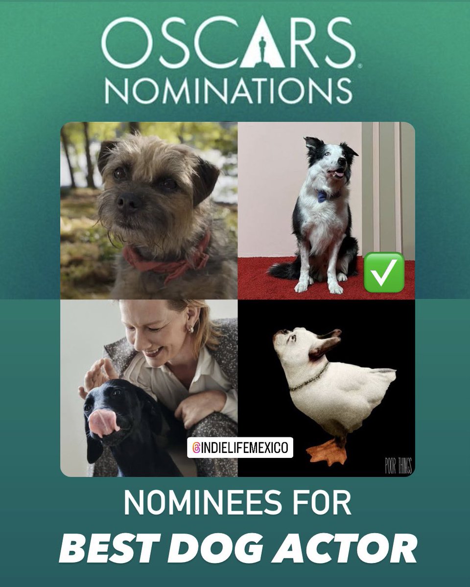 Ya tenemos nuestro primer pronóstico para los #Oscars #Oscars2024 <a href="/TNTLA/">TNT™ América Latina</a> cantadísimo!