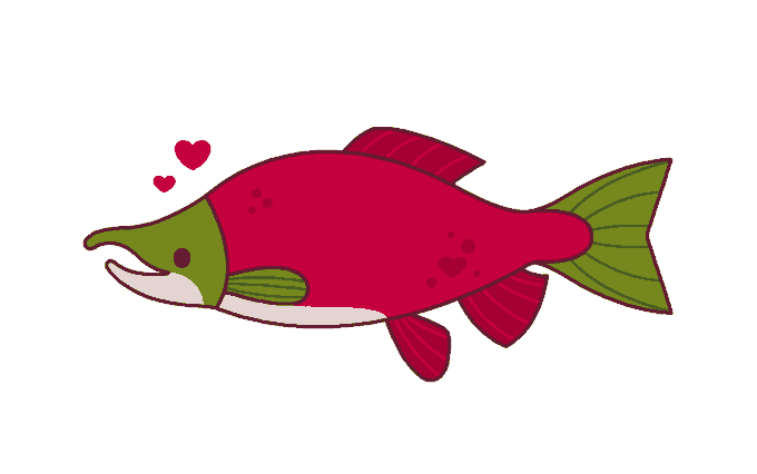  sockeye salmon  