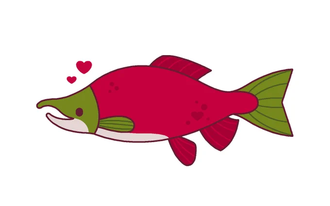  sockeye salmon  
