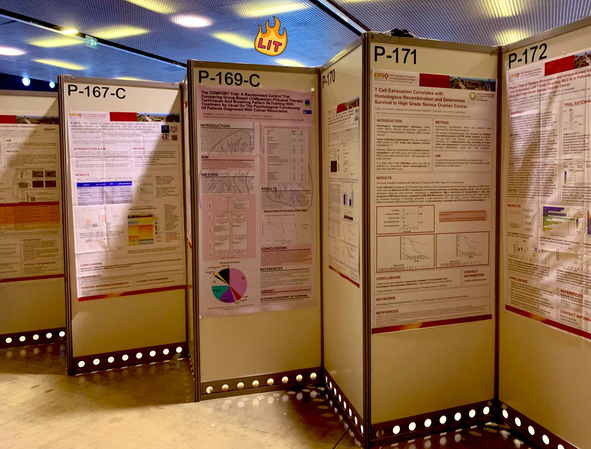 Sinéad Lynch tweet media