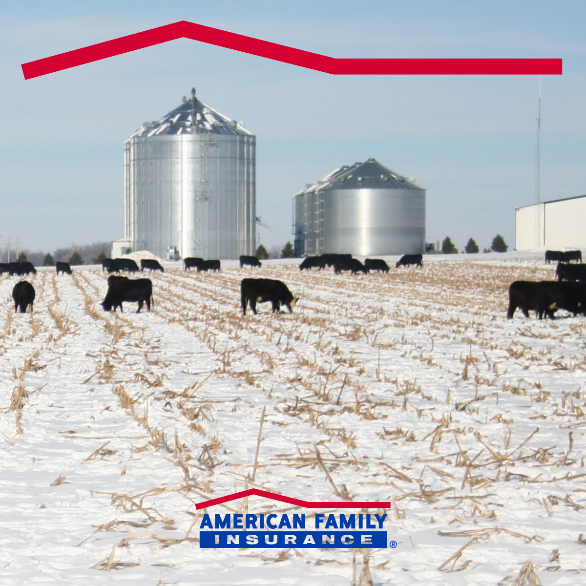 From your home to your farm or ranch operation, I can help build a policy that protects everything you work hard for – contact me today and we’ll set up time to chat. lmorgan@amfam.com
#DreamFearlessly
#Amfam
#LesDMorganAgency