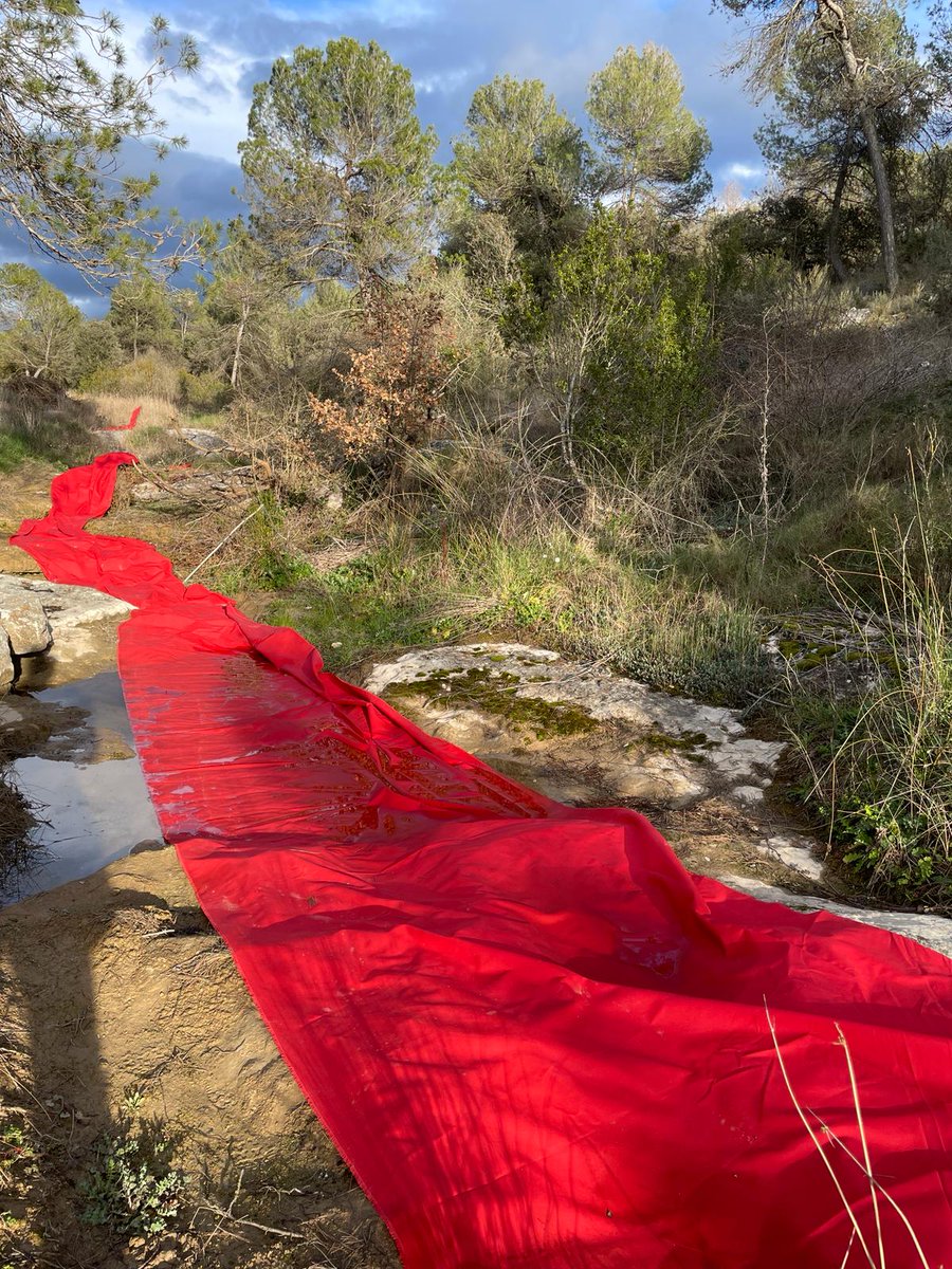 CulturaCCentral's tweet image. Al @CACIS_ de #Calders l'artista @SellaresMarc hi exposa "Les guerres que vindran parlaran de tu i de mi", que visualitza l'emergència per la #sequera. Una acció amb teles vermelles al Torrent de les Tàpies mostra la pèrdua de cabal. #Moianès #CatalunyaCentral