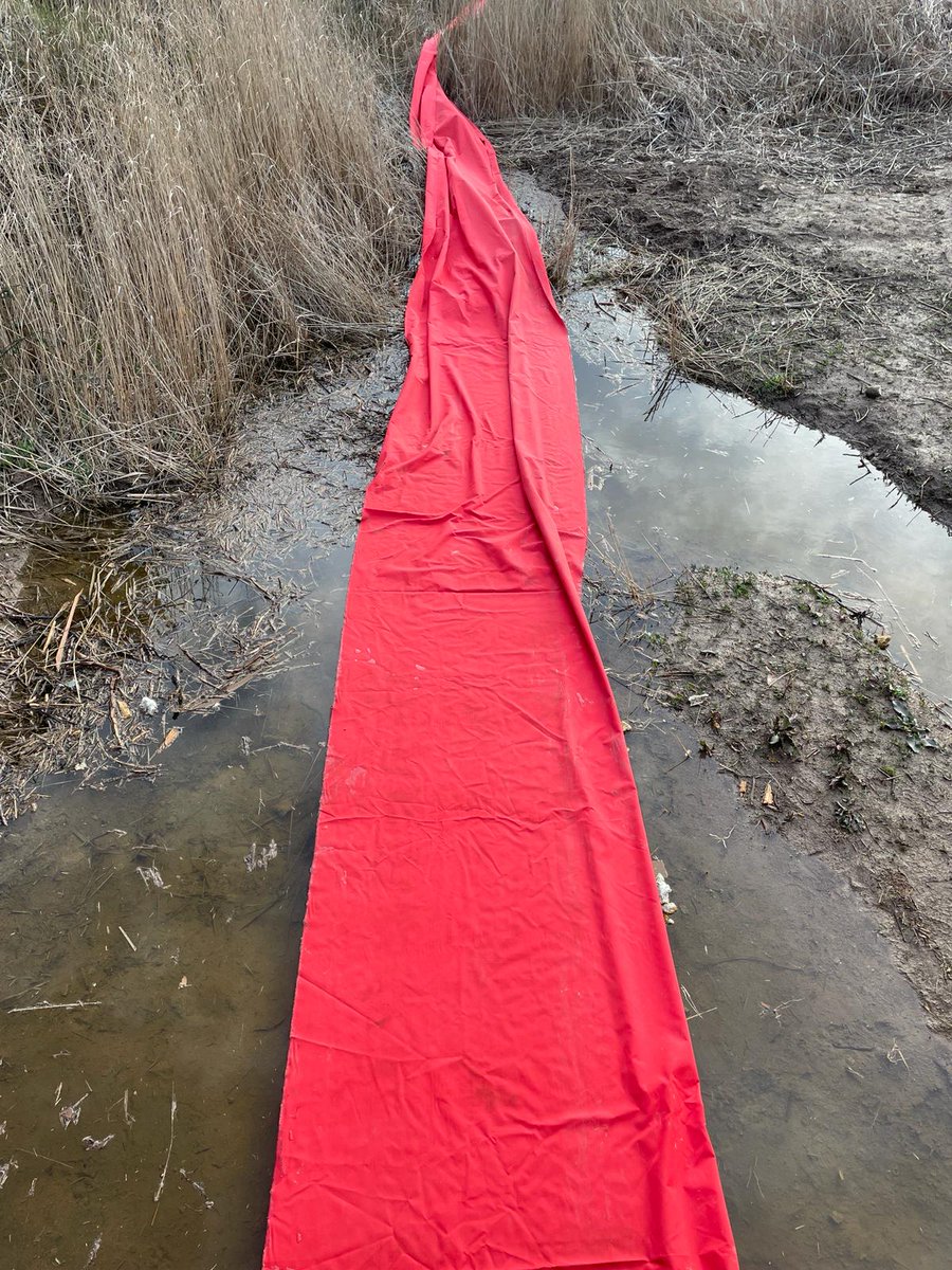 CulturaCCentral's tweet image. Al @CACIS_ de #Calders l'artista @SellaresMarc hi exposa "Les guerres que vindran parlaran de tu i de mi", que visualitza l'emergència per la #sequera. Una acció amb teles vermelles al Torrent de les Tàpies mostra la pèrdua de cabal. #Moianès #CatalunyaCentral