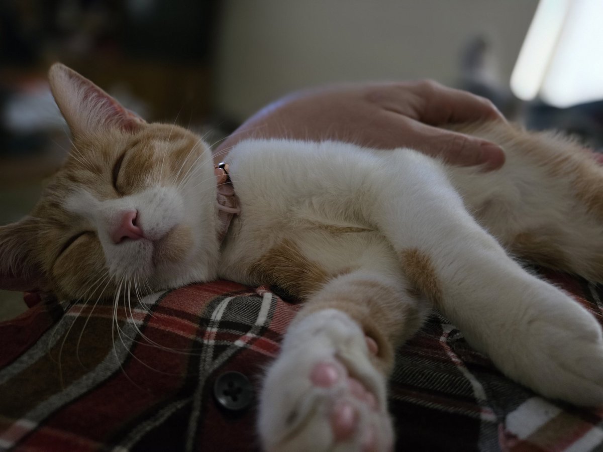 Now I want a nap, too!
