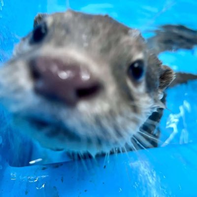 Localghostboy's tweet photo. #NewProfilePic https://t.co/J1CPcBka6M