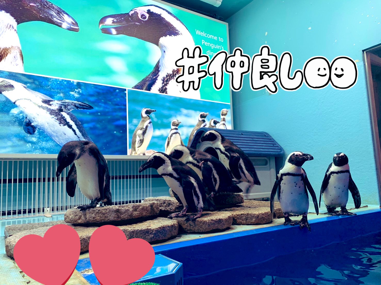 池袋のペンギン ペンギンのいるBAR 池袋 - Updated August 2025 - 56 Photos