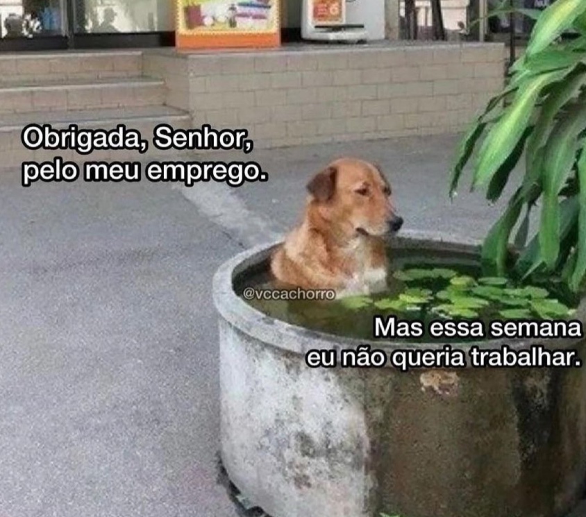 Trouxinha (@euovitinn) on Twitter photo 