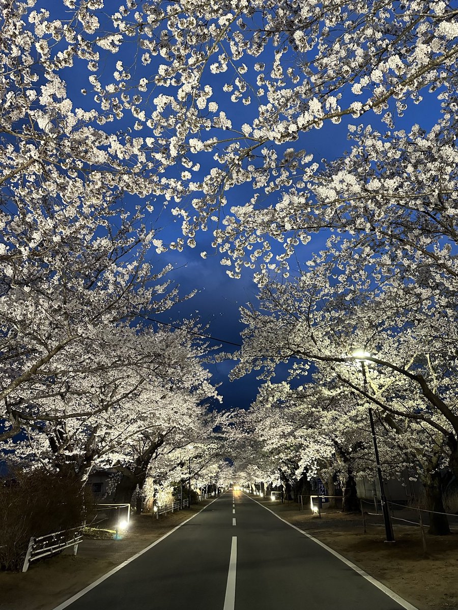 いつも日々感謝する気持ちはあるけど、今日という日は特に考えさせる日。
2024年は能登半島地震に始まり改めていつ何が起こるか分からないと感じました。
今日も感謝の気持ちを忘れずに、またこれからもバスケットが出来る事に感謝してたくさんの人を笑顔に出来るようこれからも頑張ります！
2024.3.11