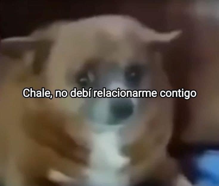 El Guarromántico tweet media