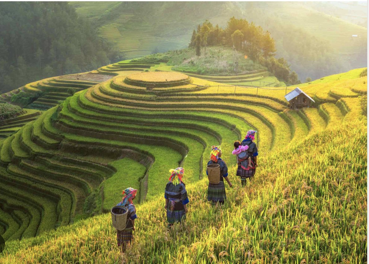 Sapa, Vietnam. Discover the diverse ethnic groups of Sapa, each with its language and customs. From the Hmong to the Dao, these communities preserve their linguistic heritage amidst the breathtaking landscapes of northern Vietnam. #EthnicDiversity #VietnameseCulture #lingoai