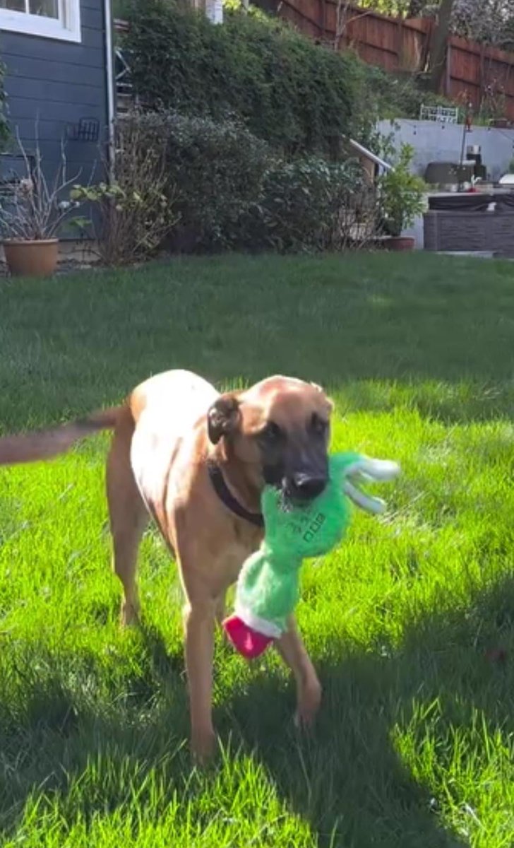 Eric Michael Harr tweet media