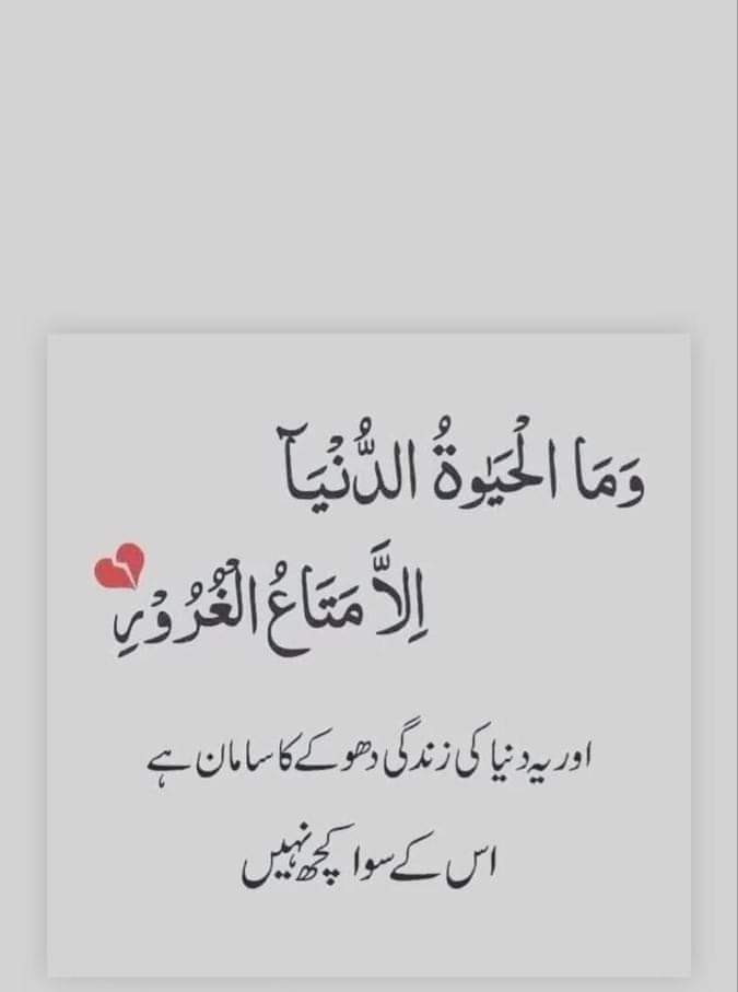 Toqeer Ali tweet media