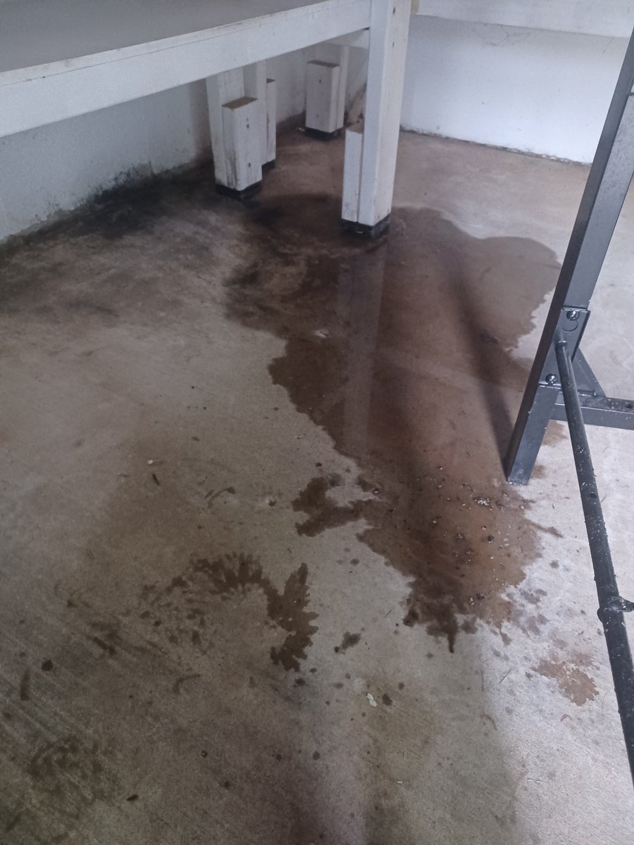 WoodsonField's tweet photo. The video didn't show the mold
Yes, mold. It's only Woodson. It's only baseball. Instead, waste $ on a name change.
@KarlFrischFCPS @RachnaHeizer @MelanieForEdu @Ricardy4Mason @RyanLMcElveen
@KyleMcDaniel89
@Moon4Schools
@RobynLadyVA  @marcia4schools @MateoDunne @SeemaDixit4FCPS https://t.co/MW6BsOAw48