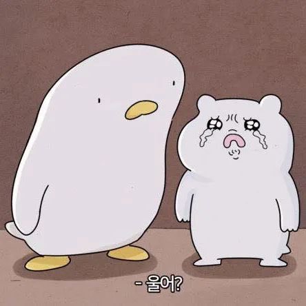 양바오 오늘도 따뜻하고행복한 하루 보내용💗🍀 
로엔이는 … 울지않아화이팅..