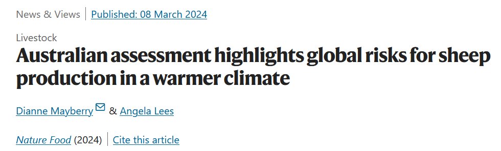 In their recent @NatureFoodJnl paper, Van Wettere et al estimate current + potential future losses in Australian sheep production due to heat stress. Thanks to @AngelaMLees for co-authoring a news&views article highlighting the importance of their work. rdcu.be/dADYL