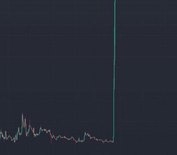 Shib Spain tweet media
