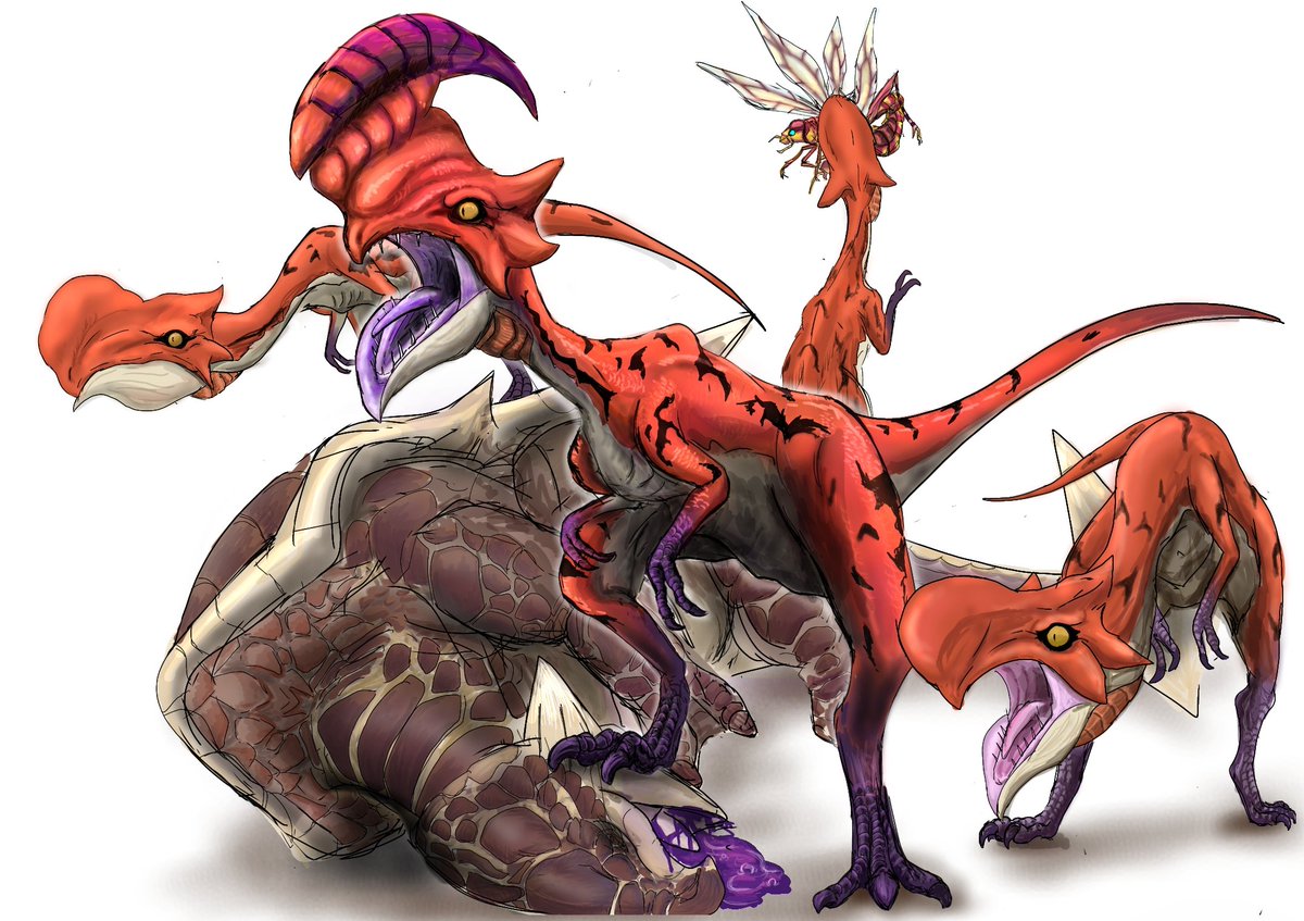 west@maskedrider (@westmaskedride1) / Posts / X