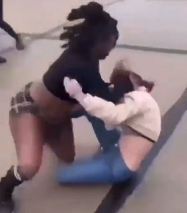 Collin Rugg tweet media