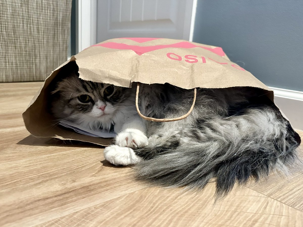 fitty200's tweet image. What is better than a comfortable bed? A paper bag!