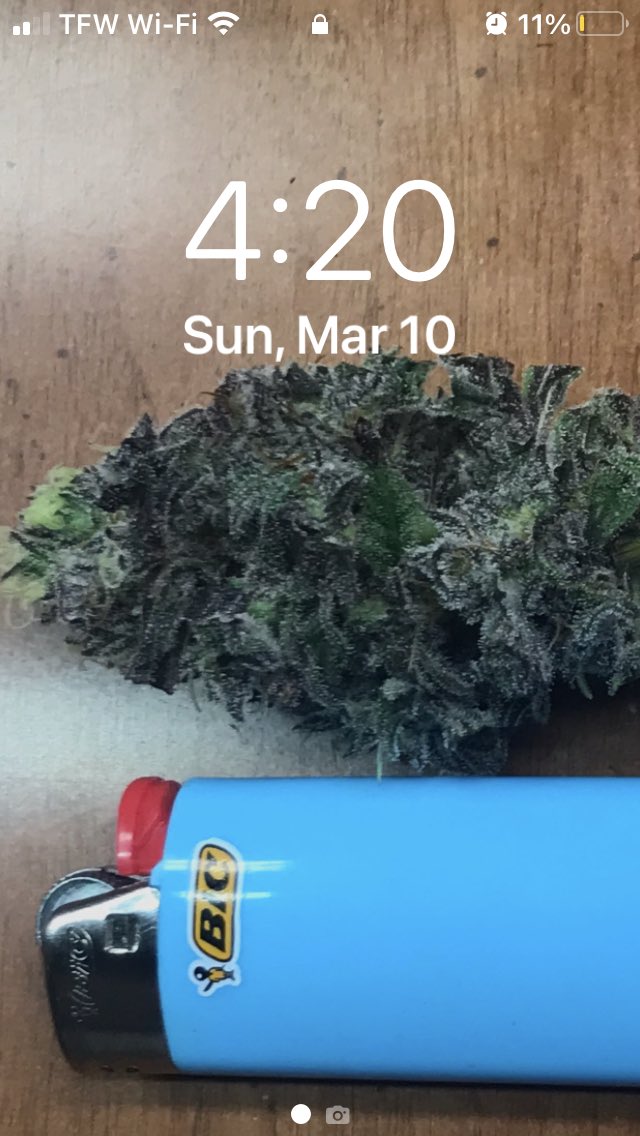 Jurassic Blueberries tweet media