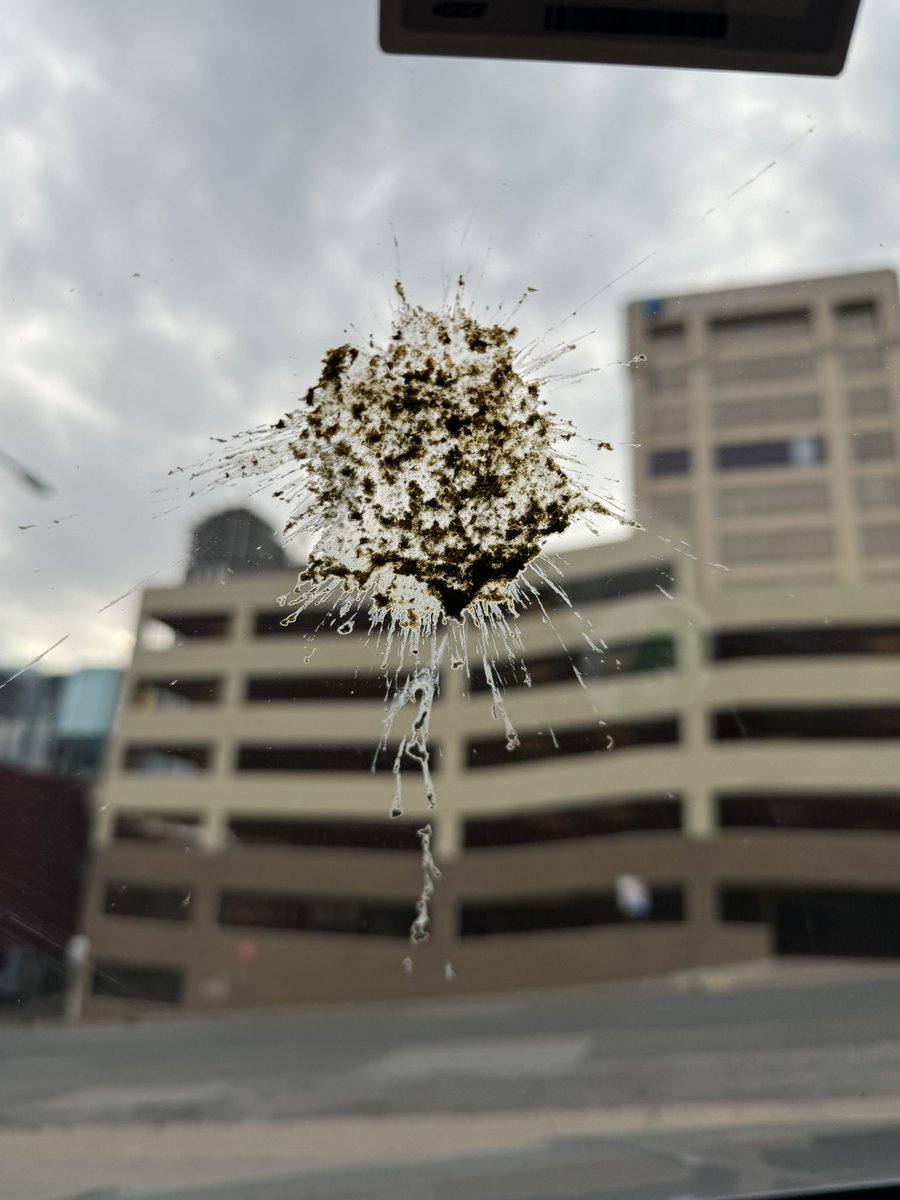 Wes (Hard Factor News) tweet media