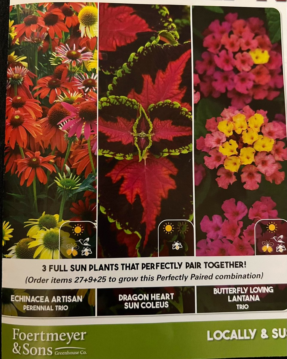 AjaySingh7775's tweet photo. Foertmeyer Spring Plant fundraiser sale

Pls find below student link to order or refer 
: https://t.co/84USy6x96z

Items must be picked up by 5/17/24 at Rossford Elementary schools Athletic complex from 4:00pm -6:00pm.

#Flowers #Rossford #Perrysburg #Toledo https://t.co/v8xULapSdq