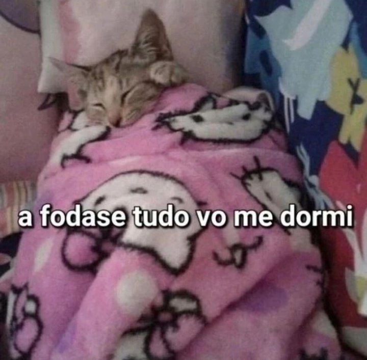 animaisfrases_'s tweet photo. https://t.co/eyqfVBru4W