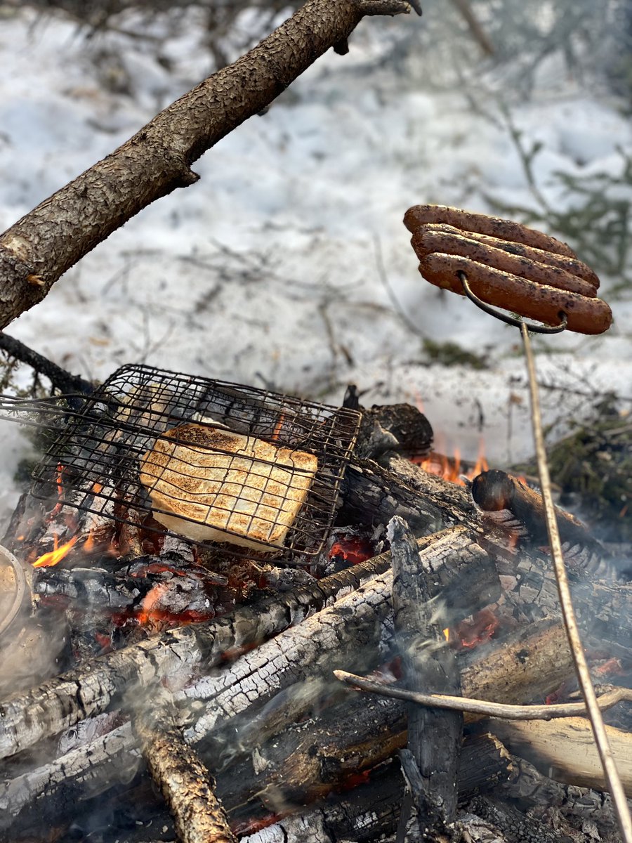 labradorhome's tweet photo. Spring is in the air! #thebigland #spring #lovewhereyoulive https://t.co/T6MBWtOUi0
