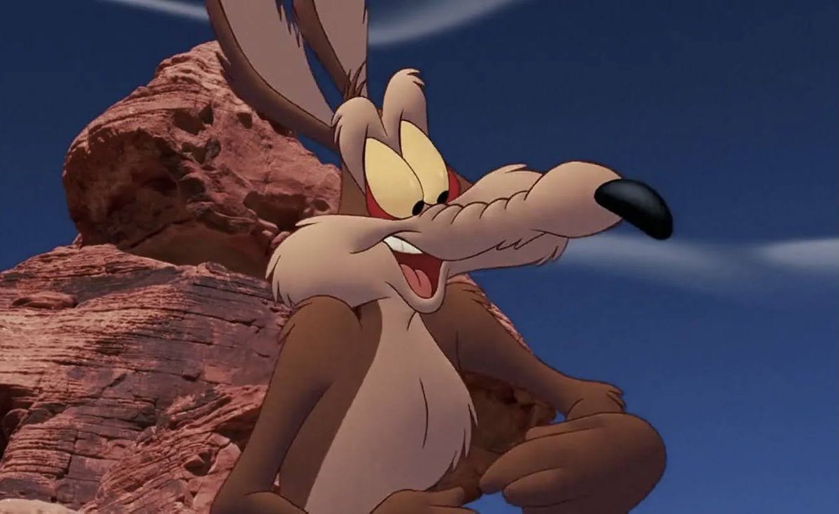 Crash - Coyote SIMP tweet media