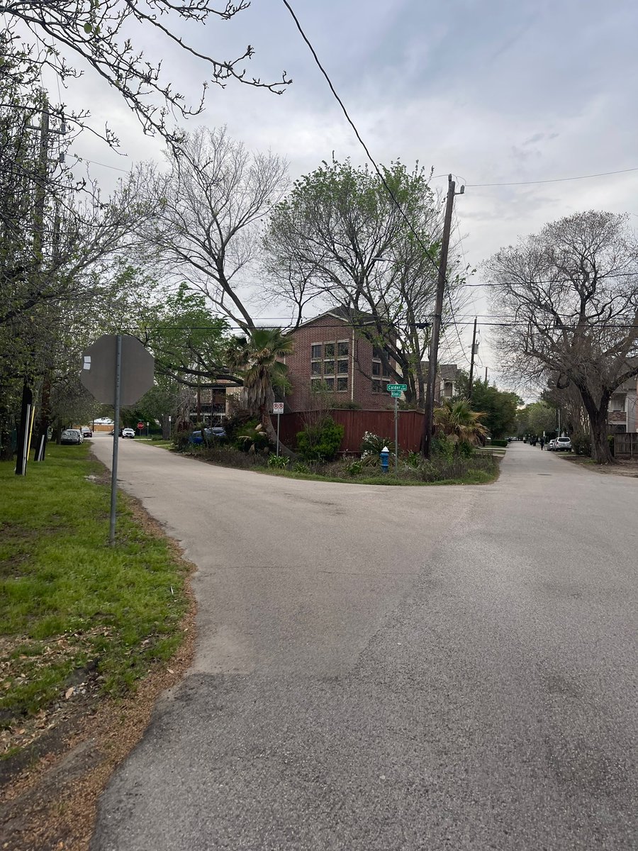 Avery Tisch tweet media