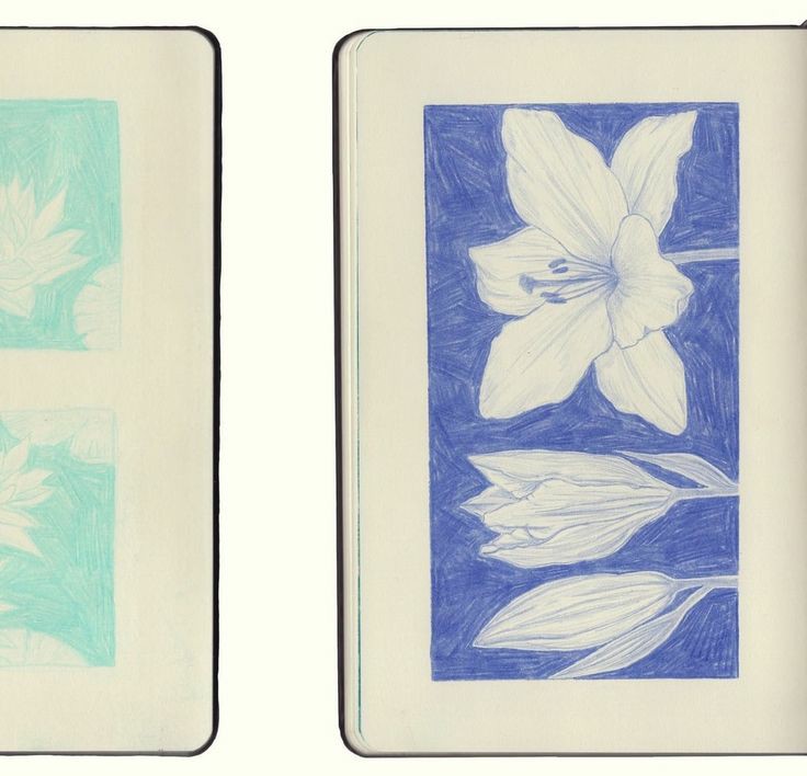 jiniflor's tweet image. ⠀⠀⠀⠀⠀⠀⠀