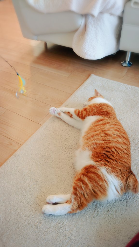 まちけんページです♡ どんなに楽しくても下半身は定位置。 ＃4歳10ヶ月 #もうすぐ人間で言え