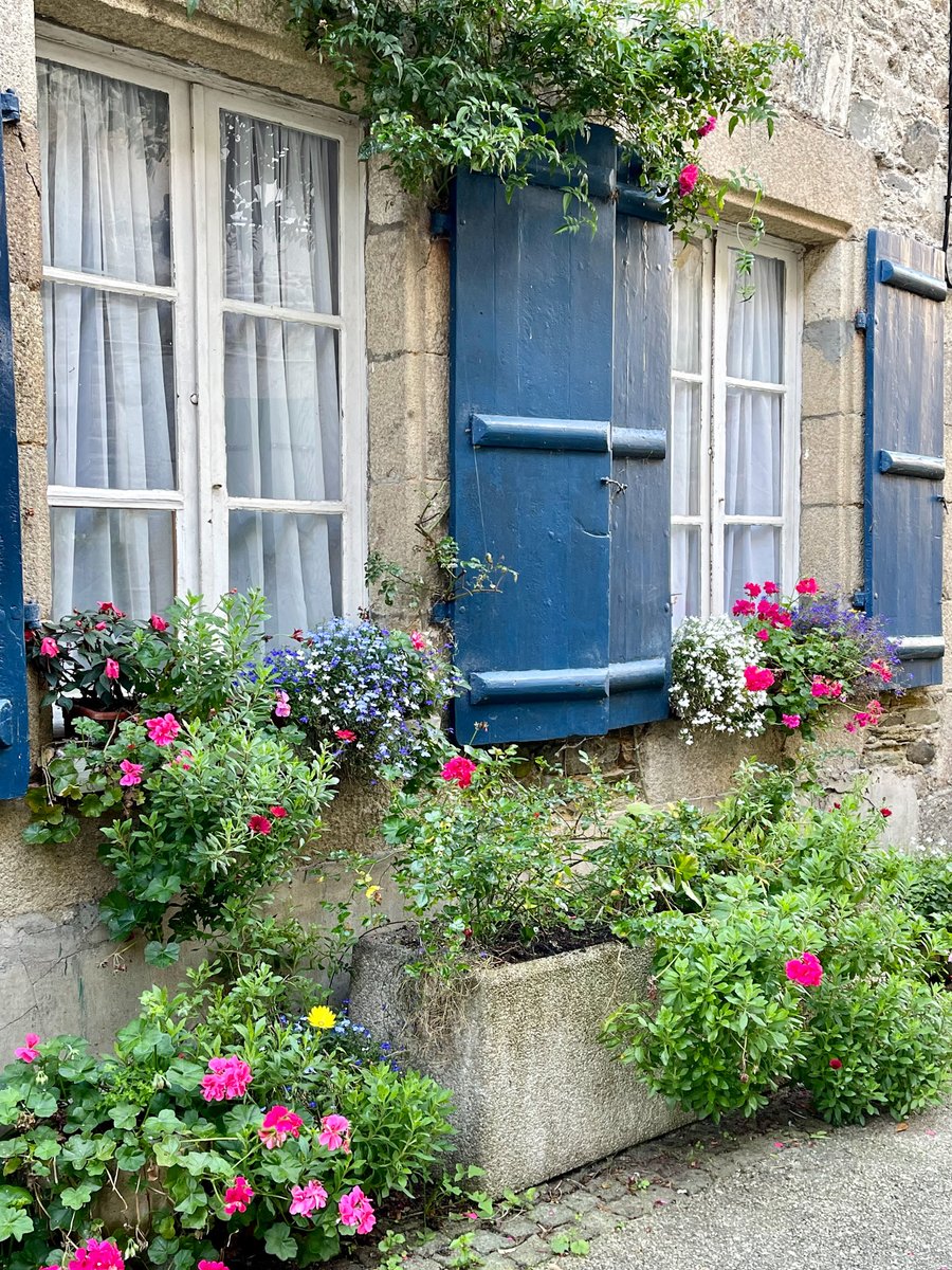 A French Collection tweet media