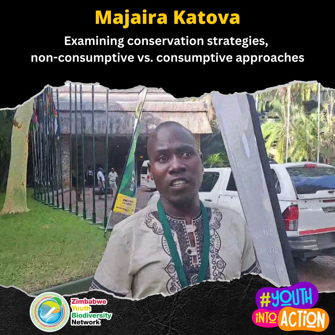 Continuing our dive into the incredible young leaders at the #APAD conference, we've got Majaira sharing his thoughts on conservation. Watch here: youtu.be/5eXuVxDofWc #IamZYBN #Youth4biodiversity #YouthForChange