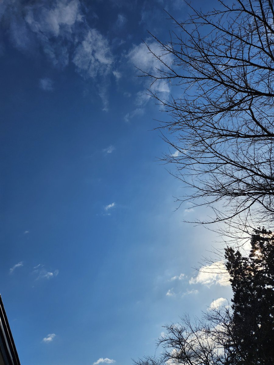 Terachan0327's tweet photo. #イマソラ
空気はひんやりしているけど、日差しは春の陽気😃✨⤴️
春はもうすぐ( =^ω^)
#Comespring https://t.co/NjxzISwjtN