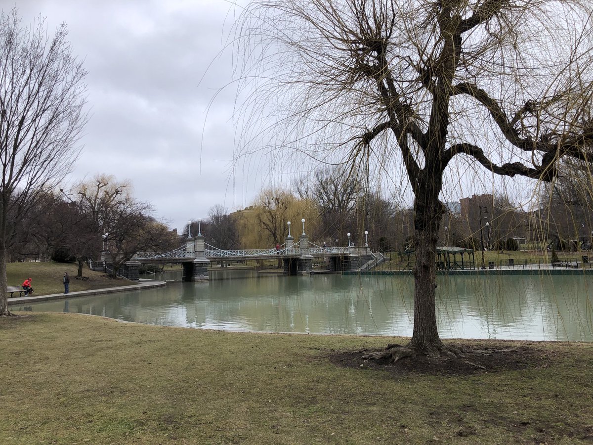 KateNBlackwood's tweet image. This weekend’s long run (20 miles) took me around Boston’s Public Garden…site of the happy ending of Make Way for Ducklings. #BostonMarathon2024 #running #notspringyet
